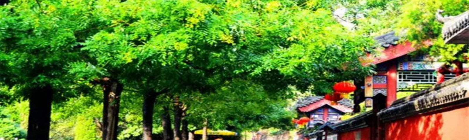 travel