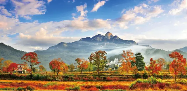 Fall Foliage Sightseeing in Huanggang