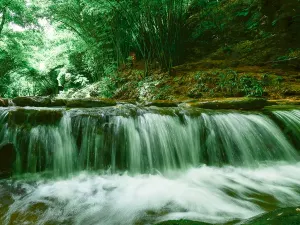 Bamboo Canyon Scenic Area (Jinji Valley)