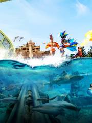 Aquaventure Waterpark