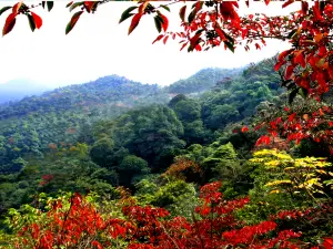 Sanbaishan Mountain Scenic Area