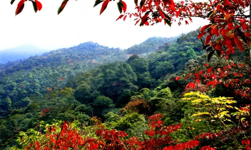 Sanbaishan Mountain Scenic Area