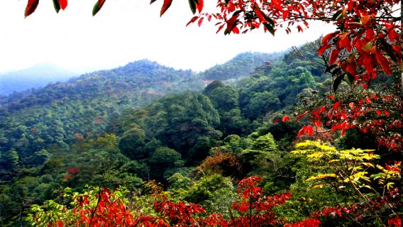 Sanbai Mountain Scenic Area