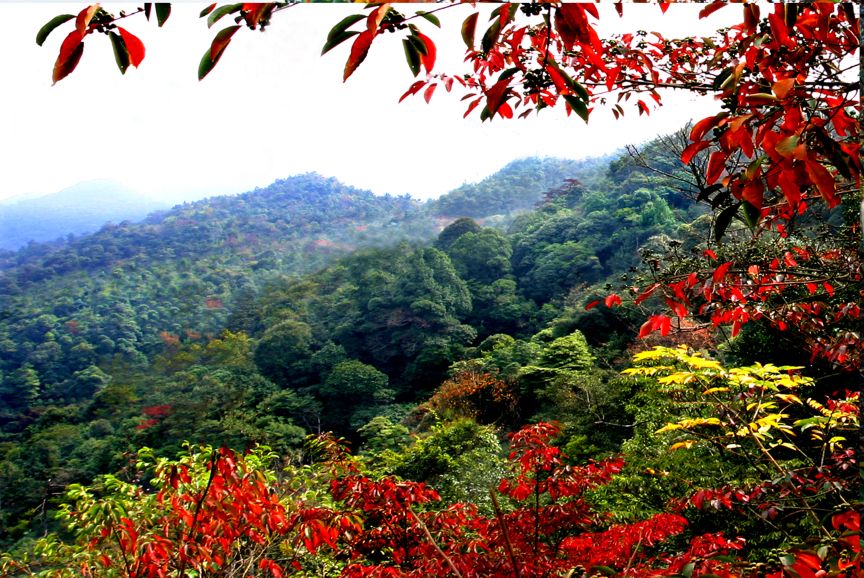 Sanbai Mountain Scenic Area