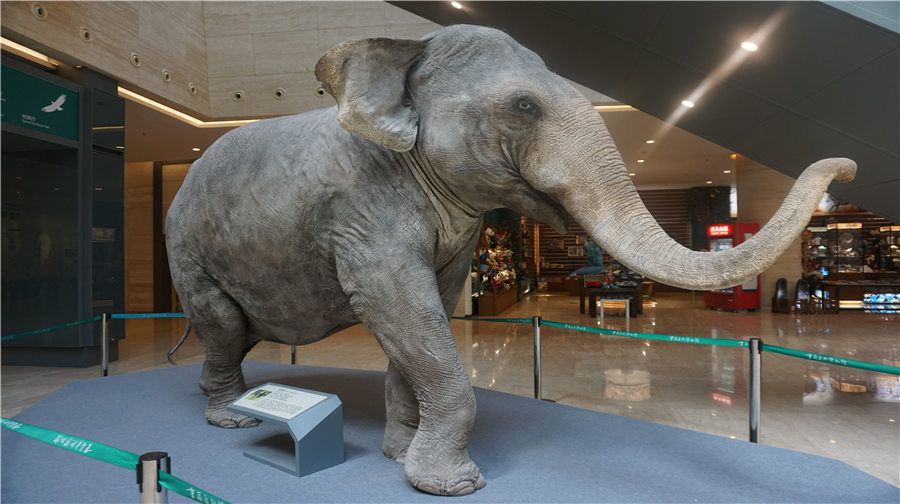 2_重慶自然博物館（新館）