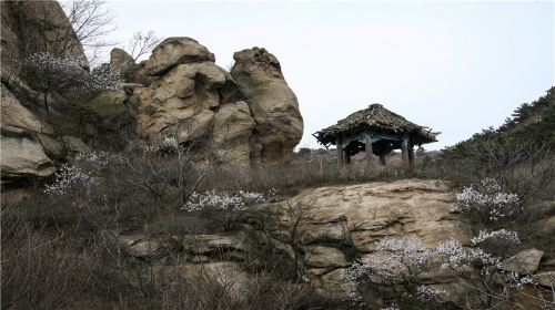 Qingyan Temple