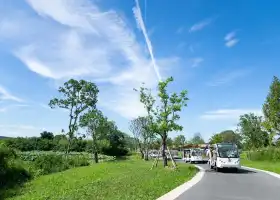 良渚古城遺址公園
