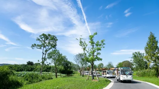 Liangzhugucheng Ruins Park