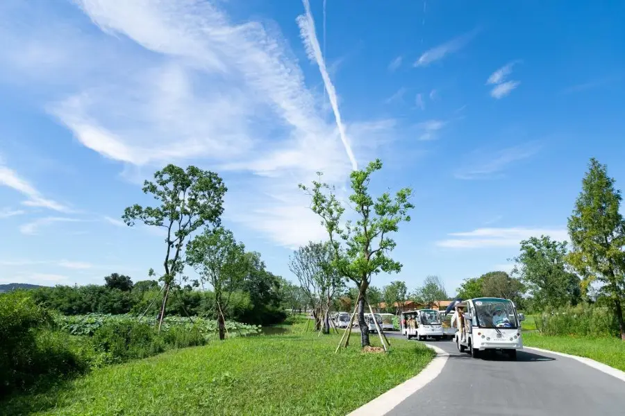 Liangzhugucheng Ruins Park