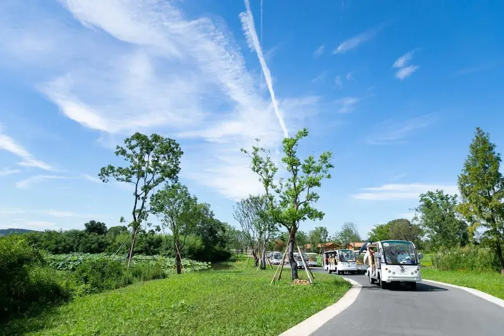 1_良渚古城遺址公園