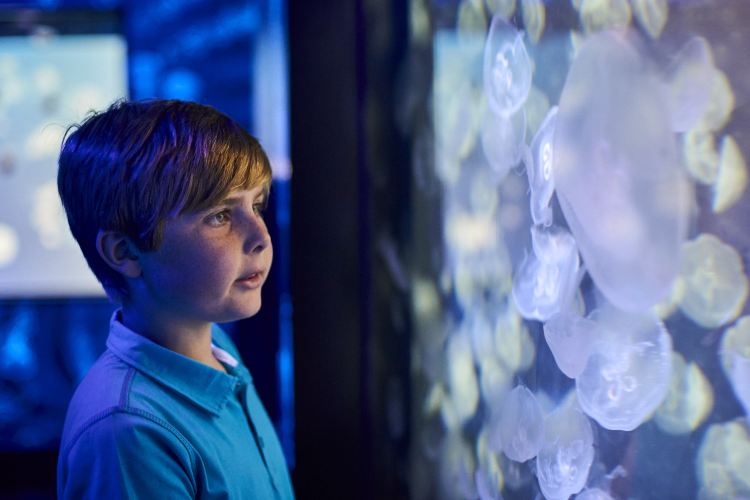 SEA LIFE Melbourne Aquarium