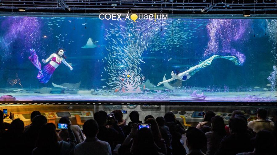 韓國首爾+COEX水族館+首爾小童大樂園+塗鴉秀 （NH藝術廳）一日遊