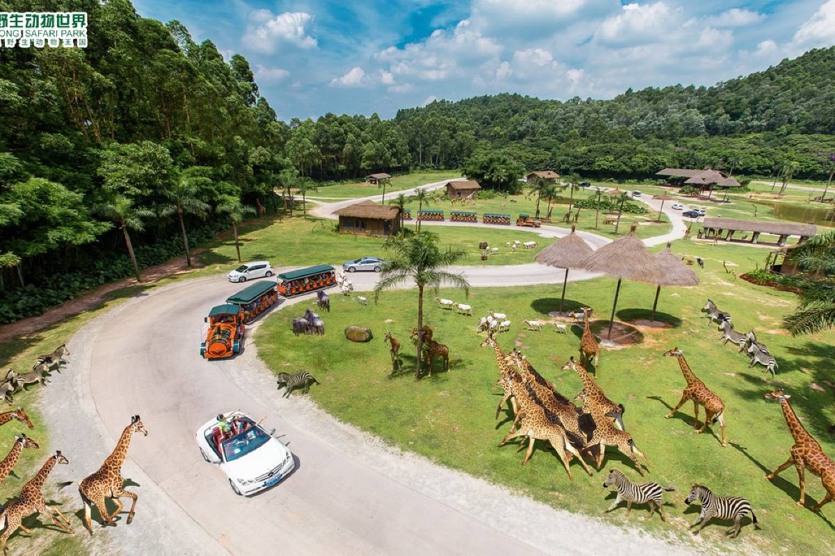  Guangzhou Chimelong Adventure