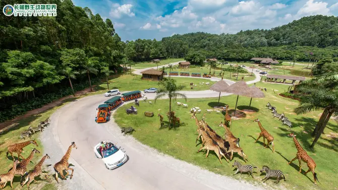 Chimelong Safari Park