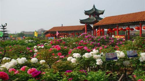 Caozhou Bai Garden