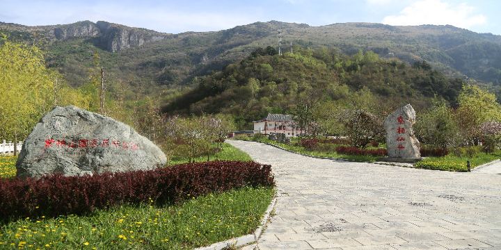 Zibai Mountain National Forest Park
