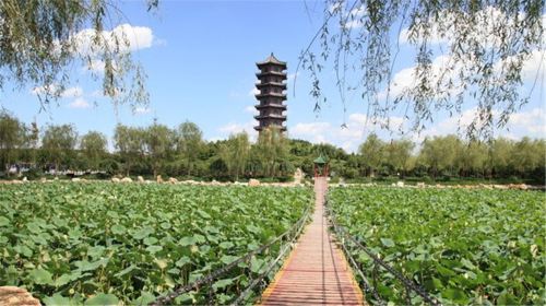 Shenyang Sannong Expo Garden