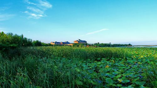 Hengshui Lake