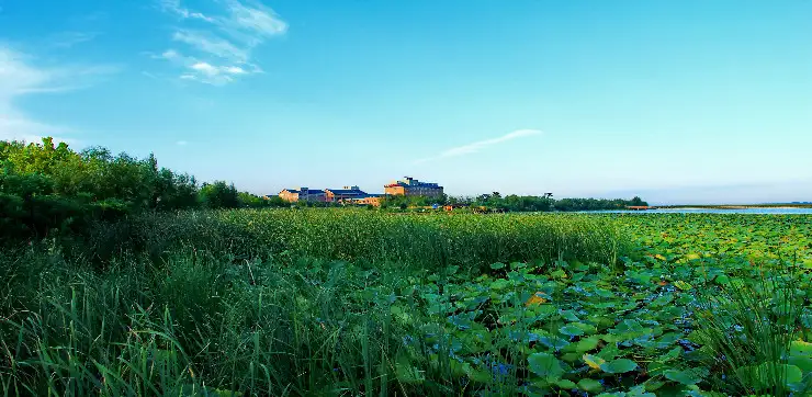 3_Hengshui Lake Tourist Scenic Spot
