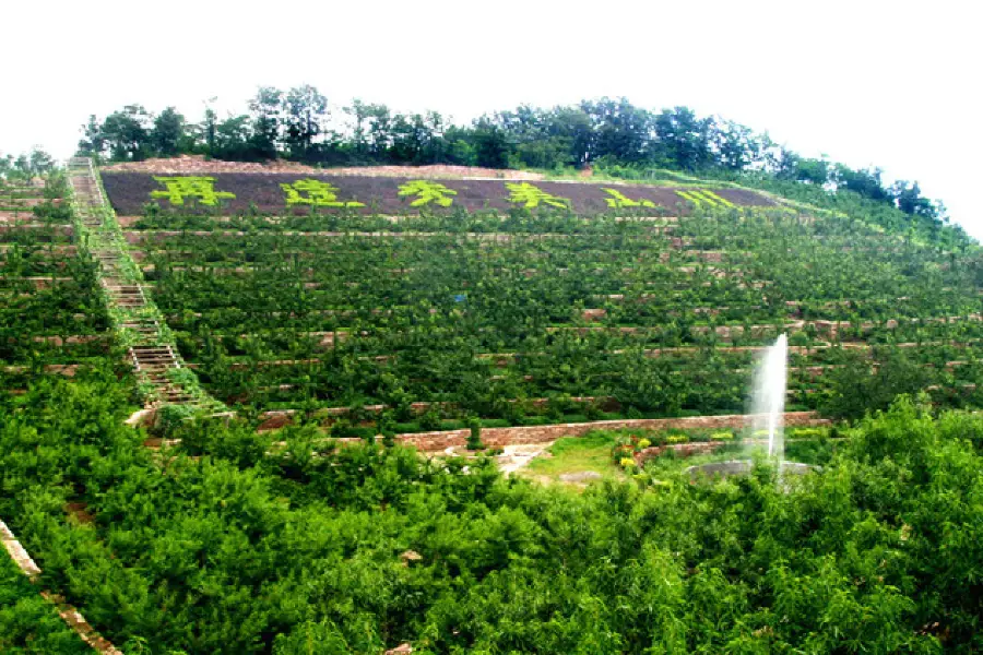 Qiannanyu Forest Park