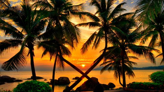 ทัวร์ส่วนตัวพร้อมไกด์ที่ซานย่า 1 วัน วัดเทียนย่า ไห่เจียว หนานซาน เทพธิดาแห่งความเมตตาแห่งท้องทะเลหนานซาน