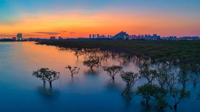 Sunset Sightseeing in Beihai