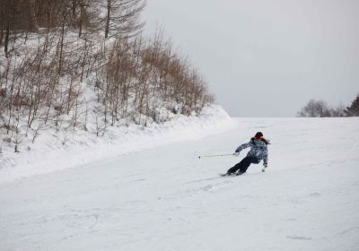 Hunter Mountain Shiobara