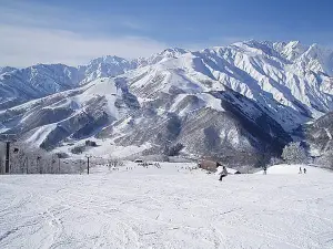 Hakuba Iwatake Mountain Resort & Snow Field