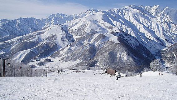 Hakuba Iwatake Mountain Resort & Snow Field