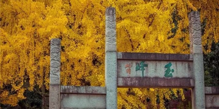 정림원(팅린공원)