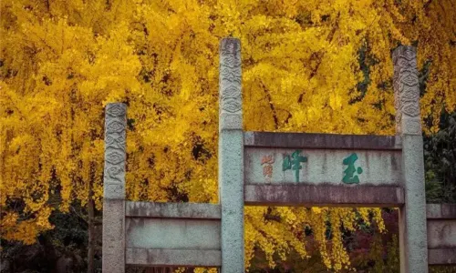 亭林園