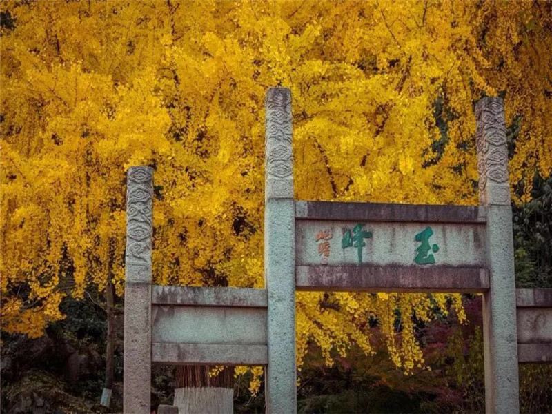 亭林園