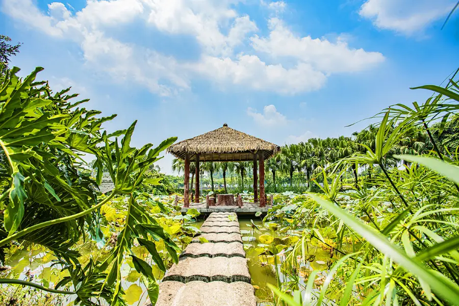 Qiaoxin Ecological Park