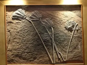 Guizhou Guanling Orictocoenosis National Geopark