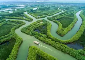 Hung-tse Lake Wetland Park Management Committee Office