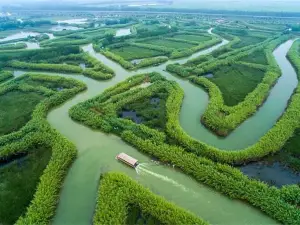 Hung-tse Lake Wetland Park Management Committee Office