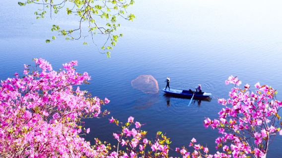 海林日遊