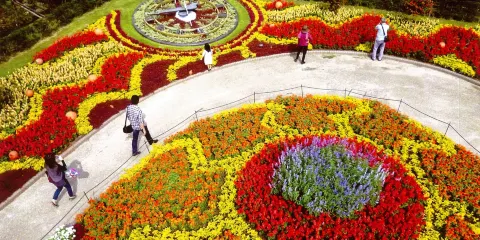 安城產業文化公園