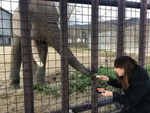 Akiyoshidai Safari Land
