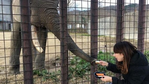 Akiyoshidai Safari Land