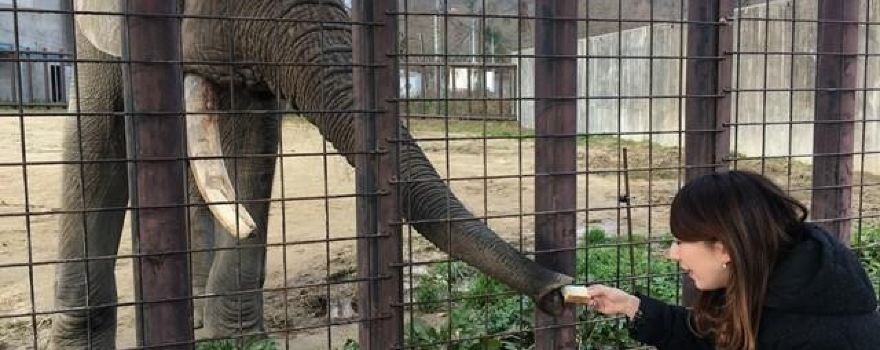 秋吉台自然動物公園サファリランド
