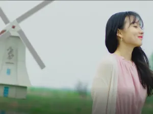 金湖水上森林景區