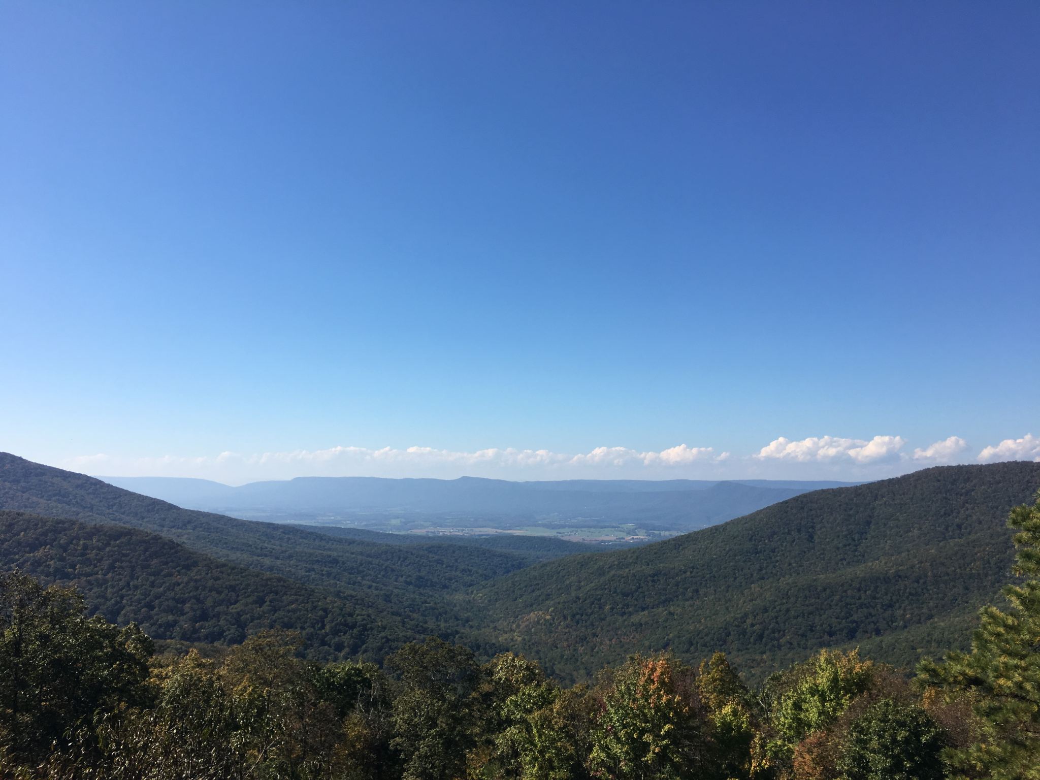 ビクトリア州鍾乳洞+シェナンドア国立公園 ワンデーツアー【12名様限定プレミアムツアー】