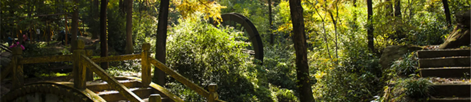 Fall Viewing Attractions