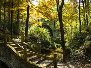 Attrazioni per la visione autunnale a Xinyang: le opzioni più popolari