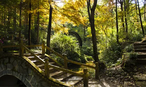 Purdom Forest Park
