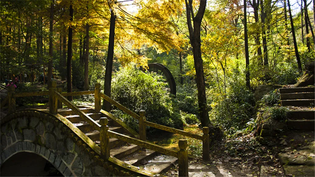 4_波爾登森林公園