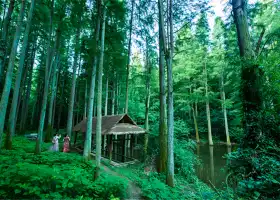 波爾登森林公園