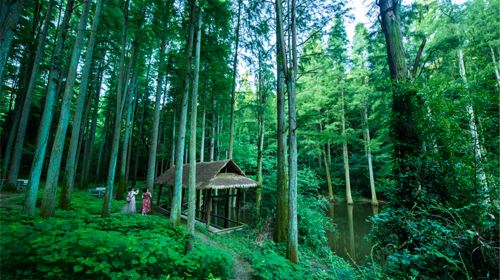 波爾登森林公園