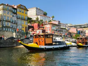 Porto city small group full-day tour with wine tasting and cruise in Douro River